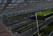 晉土地網(wǎng)頁與網(wǎng)站設(shè)計(jì)之道