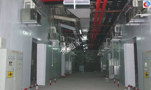 開開眼界 食用菌工廠化培育環(huán)境系統(tǒng)工程現(xiàn)場實拍